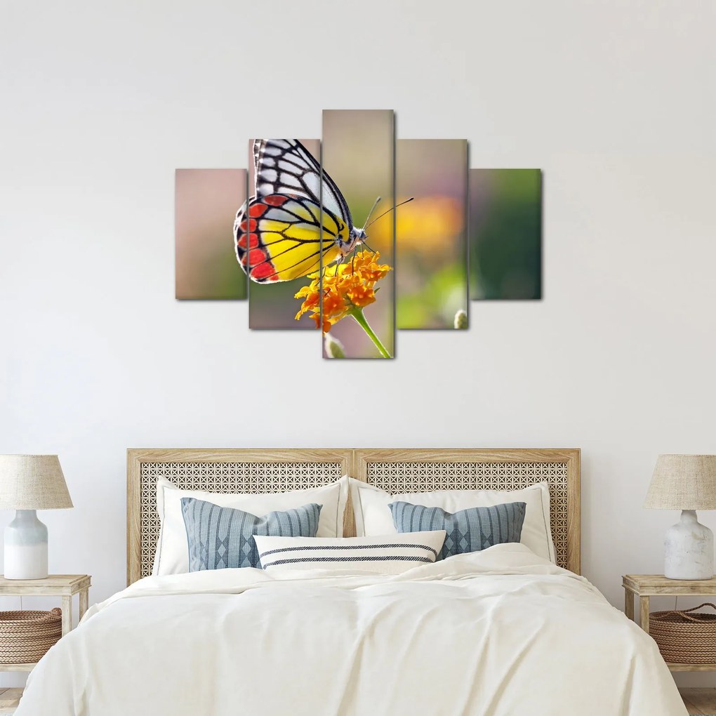 Egy pillangó képe a virágon (150x105 cm)