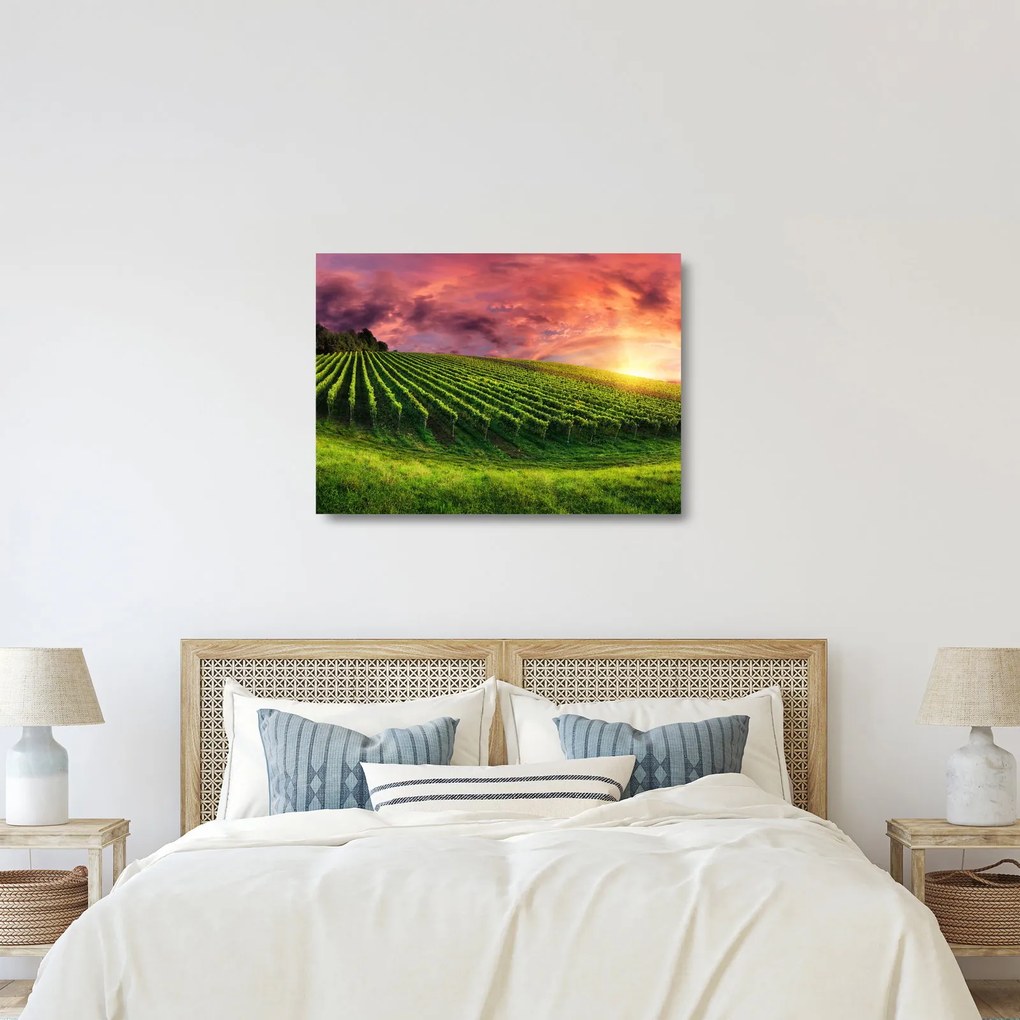 Szőlőskert és a színes égbolt képe (üvegen) (70x50 cm)