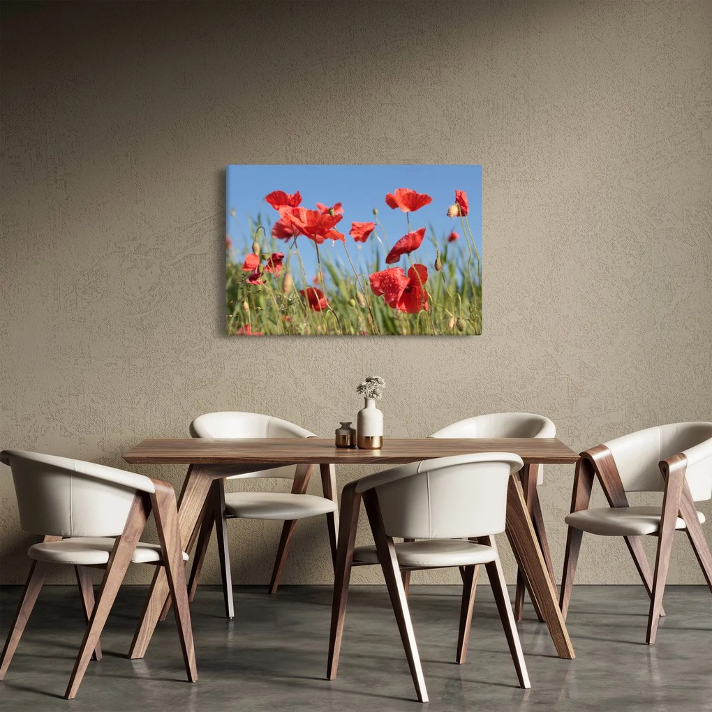 Kép - Pipacsok (90x60 cm)