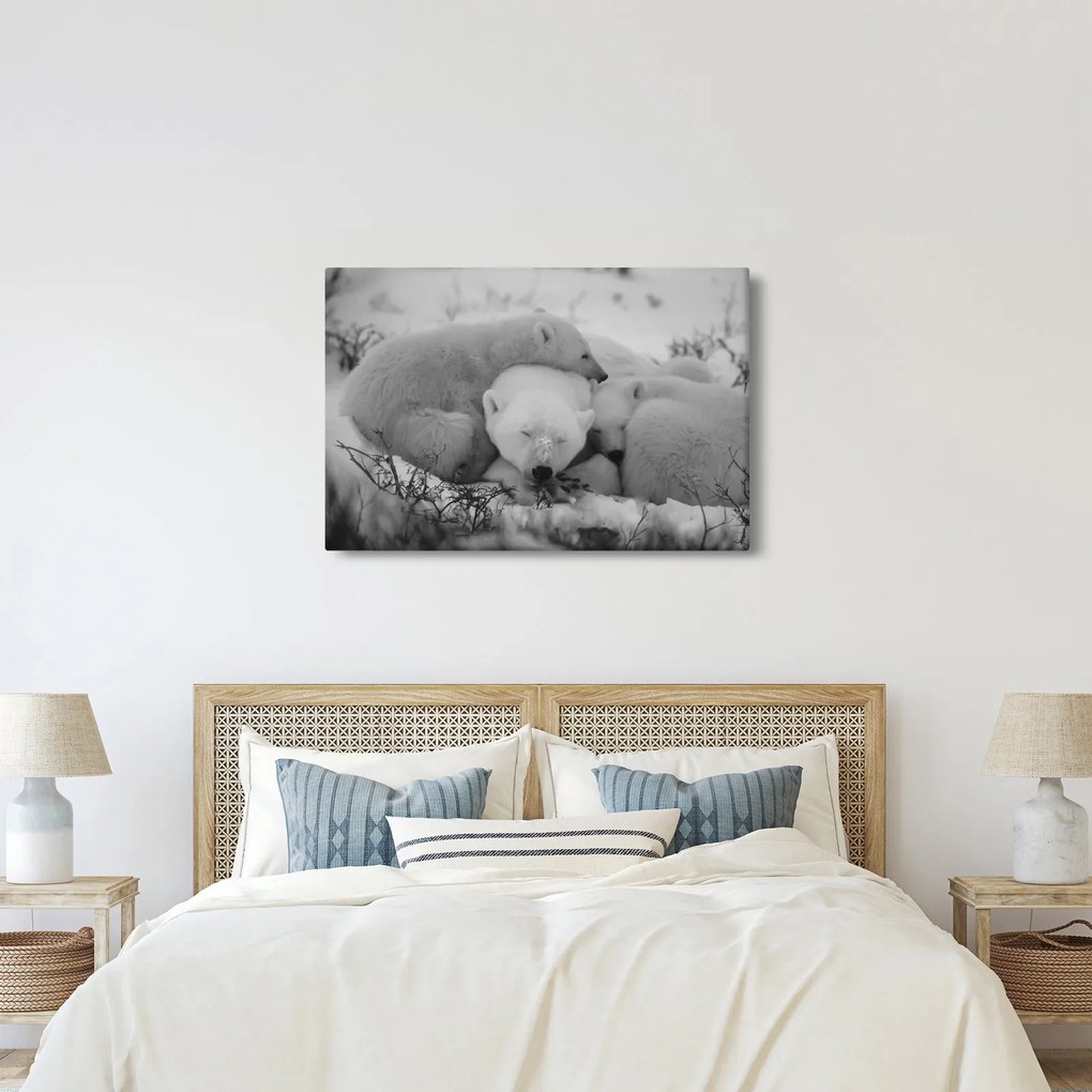 Kép - Jegesmedvék, fekete-fehér (90x60 cm)