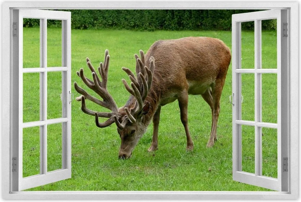 Poszter 60x40 Szarvas felszarvazott