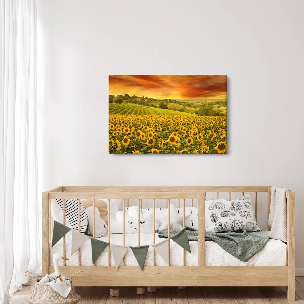 Kép - Napraforgó mező (90x60 cm)