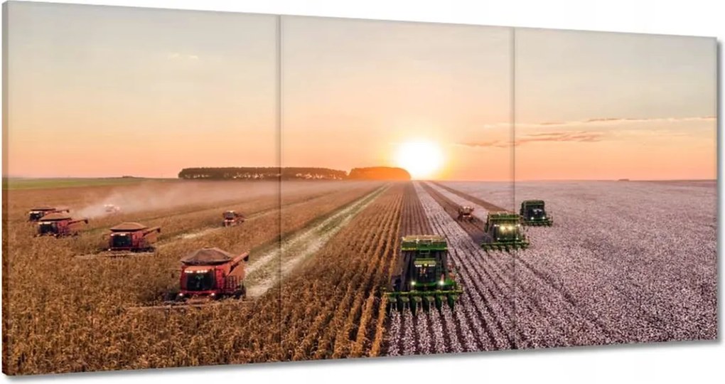 Vászonkép 60x30 Aratás Mezőgazdaság Kombájn