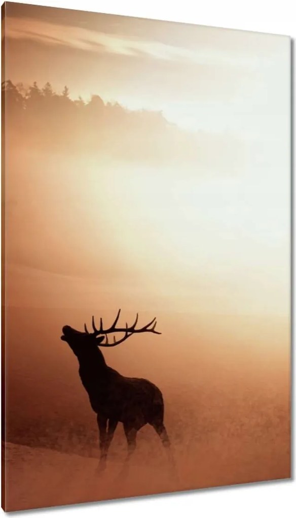 Vászonkép 80x120 Szarvas az erdő szélén