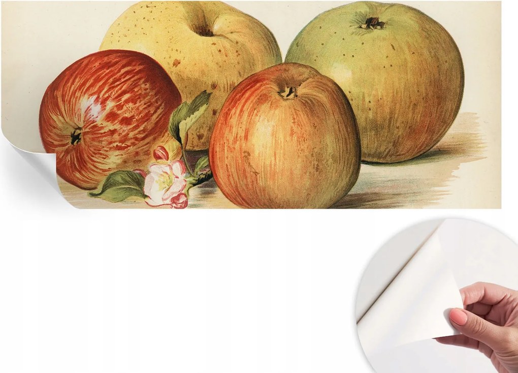 Dekoratív öntapadós fotótapéta Hálószobába Alma virágok 250x104 cm