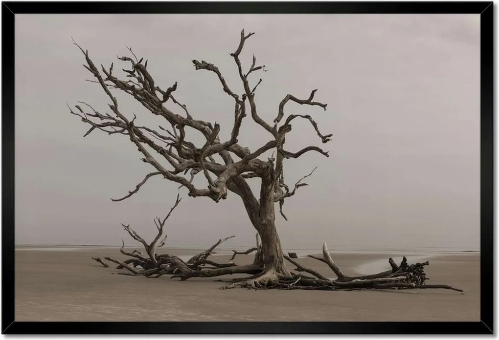 Poszterek keretben 60x40 Fa Kilátás