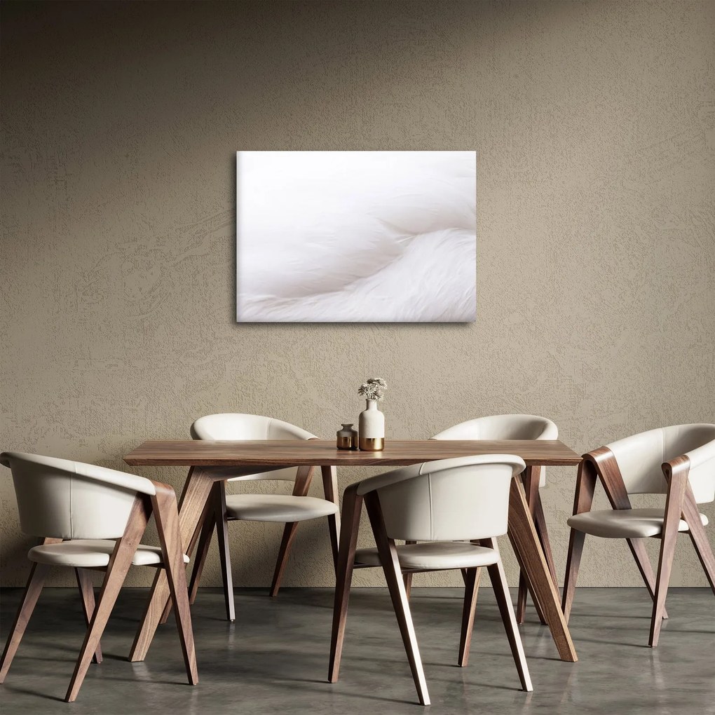 Kép - Fehér toll (70x50 cm)