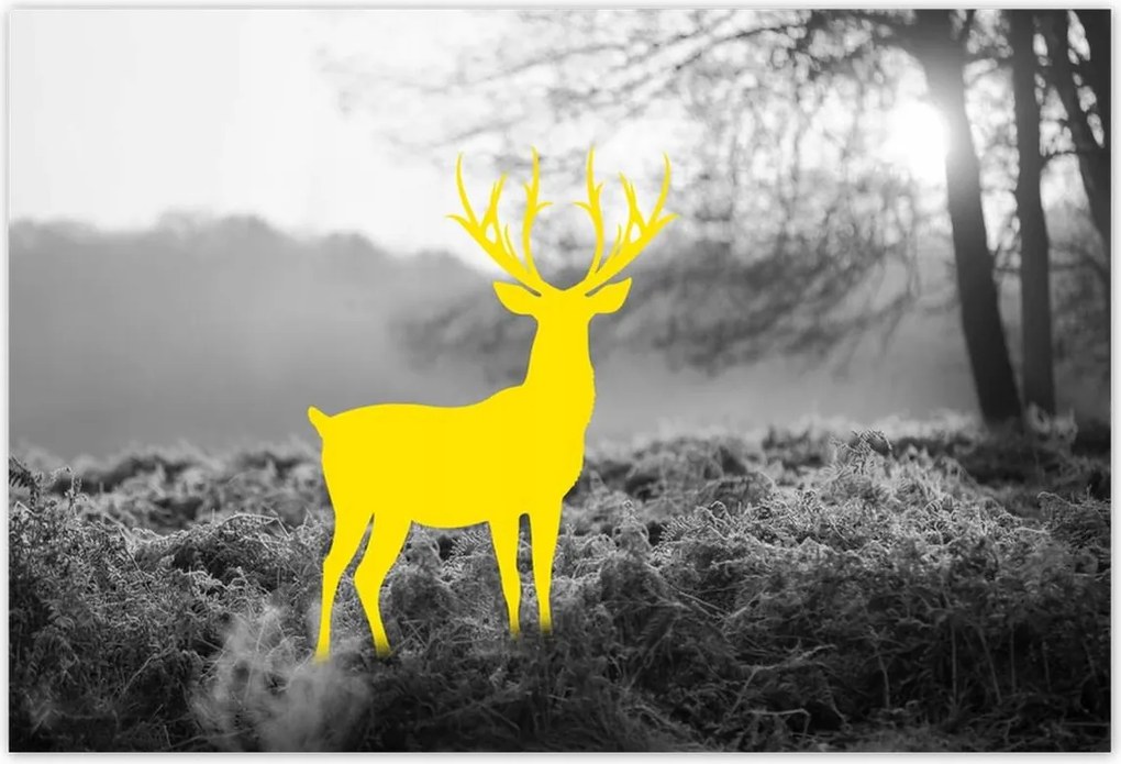 Poszterek 185x125 Sárga szarvas Erdő Tájkép