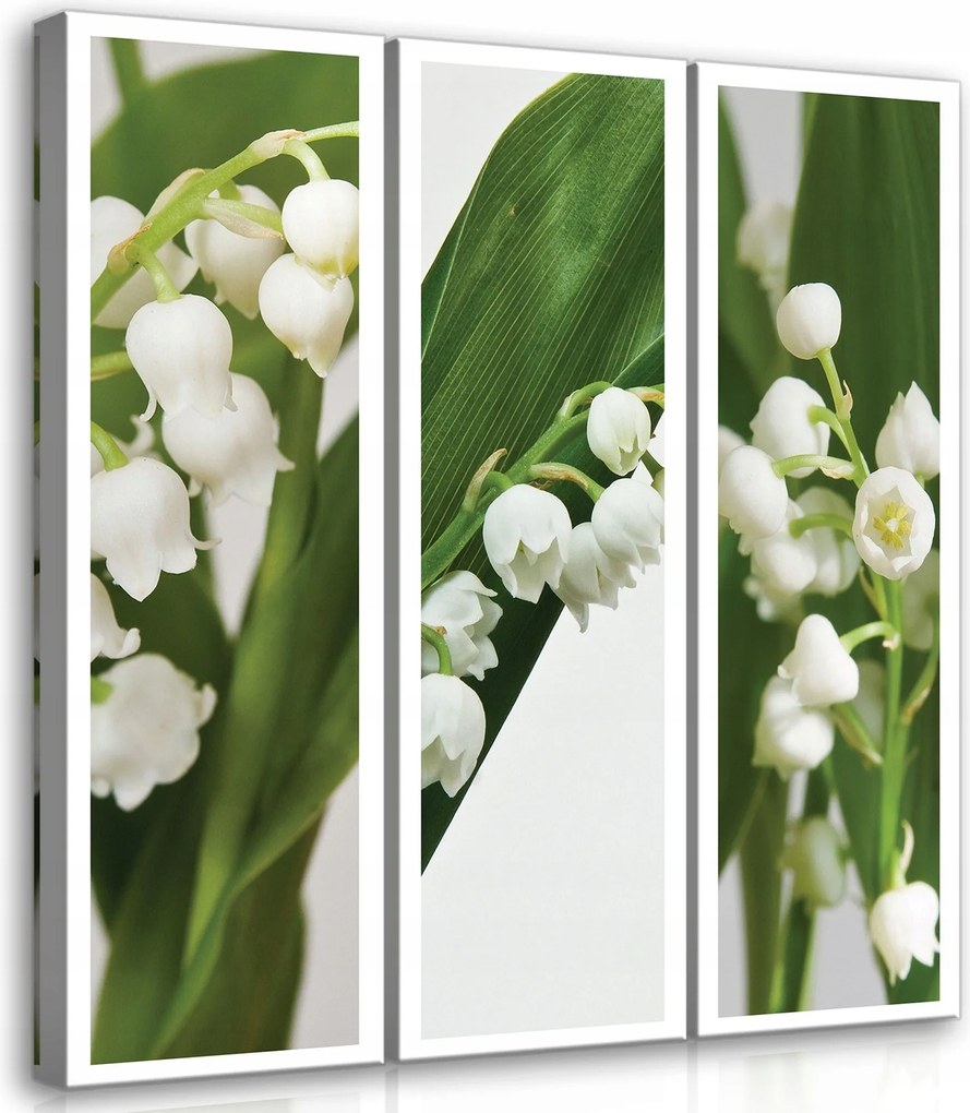 Vászonkép 90x100 Gyöngyvirág tavasz virágok fehér harangok zöld természet