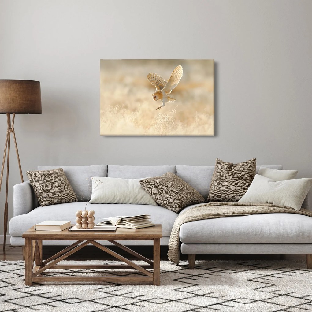 Kép - Bagoly (90x60 cm)