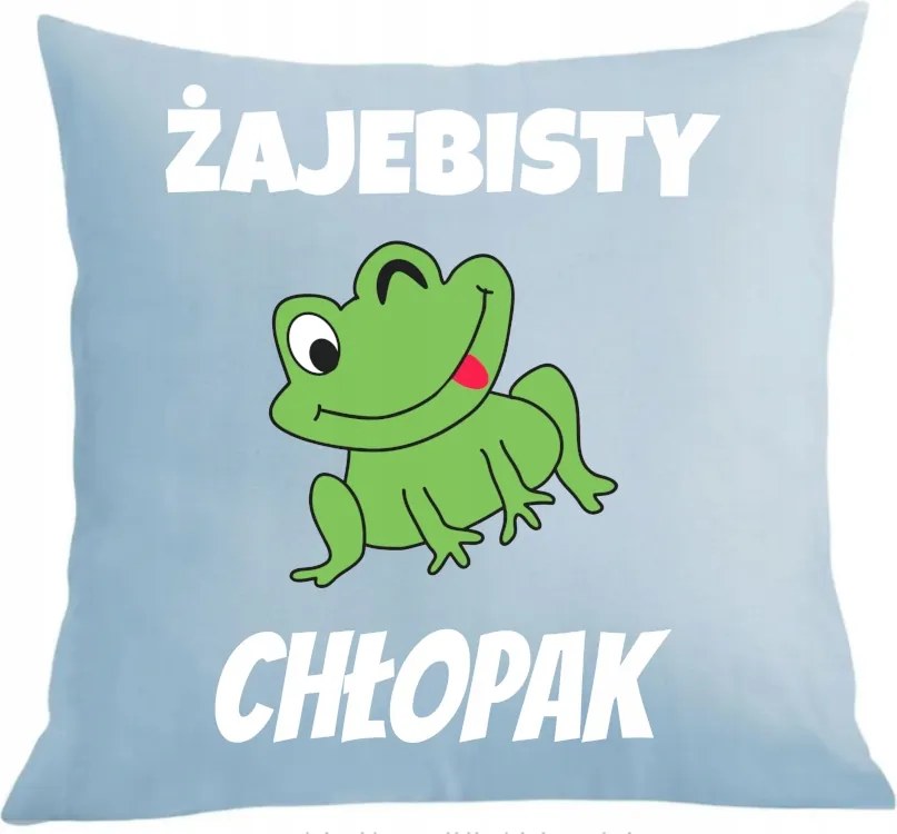 Párna párnahuzat Ajándék Békás Fiú