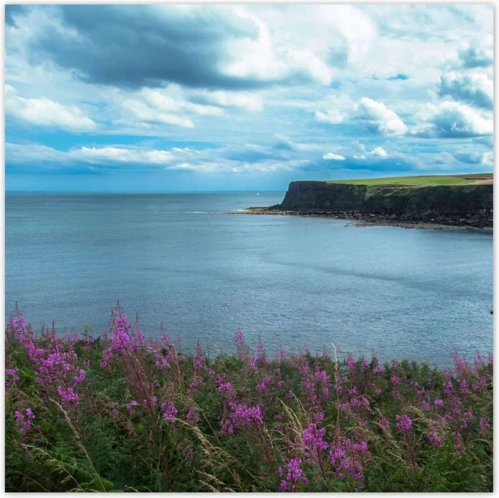 Poszterek 70x70 Illatos tájkép sziklával