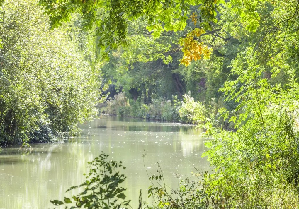 Poszter 100x70cm Basingstoke csatorna, Assaf Frank