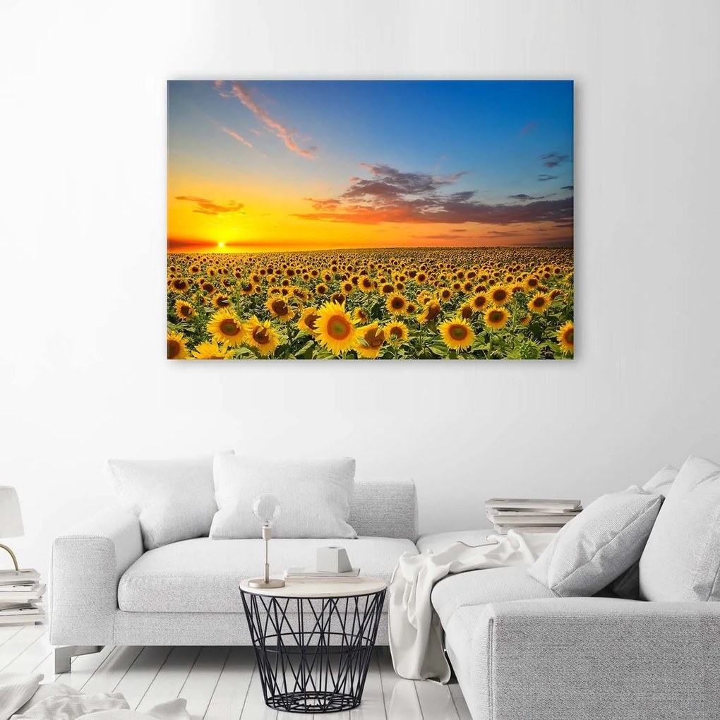 Gario Vászonkép Napraforgó rét naplementekor Méret: 120 x 80 cm