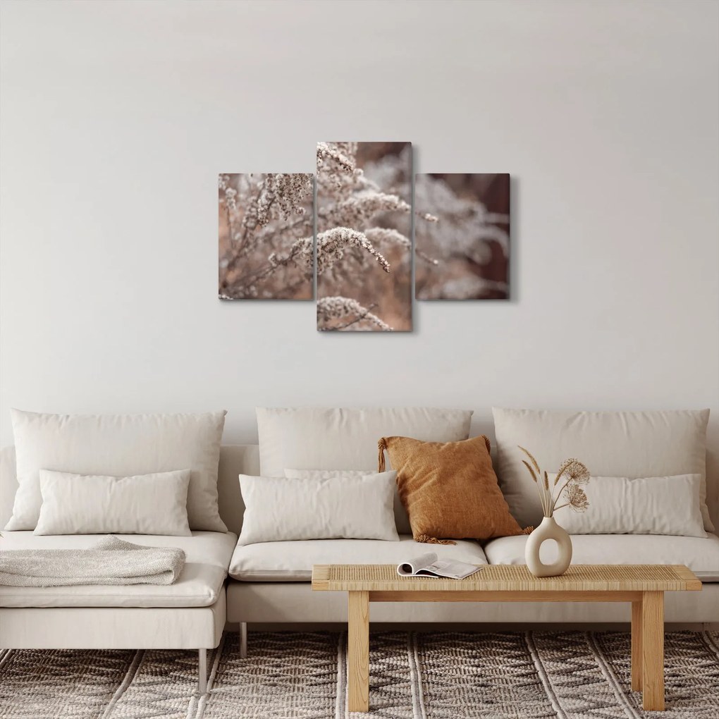 A növények képe (90x60 cm)