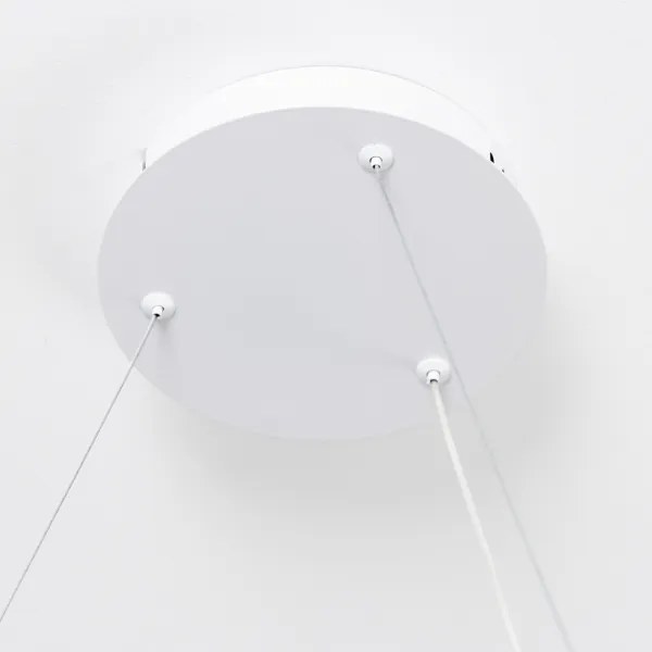 Brilagi - Dimmelhető LED kábeles csillár FALCON SLIM LED/42W/230V átm. 50 cm fehér + távirányító