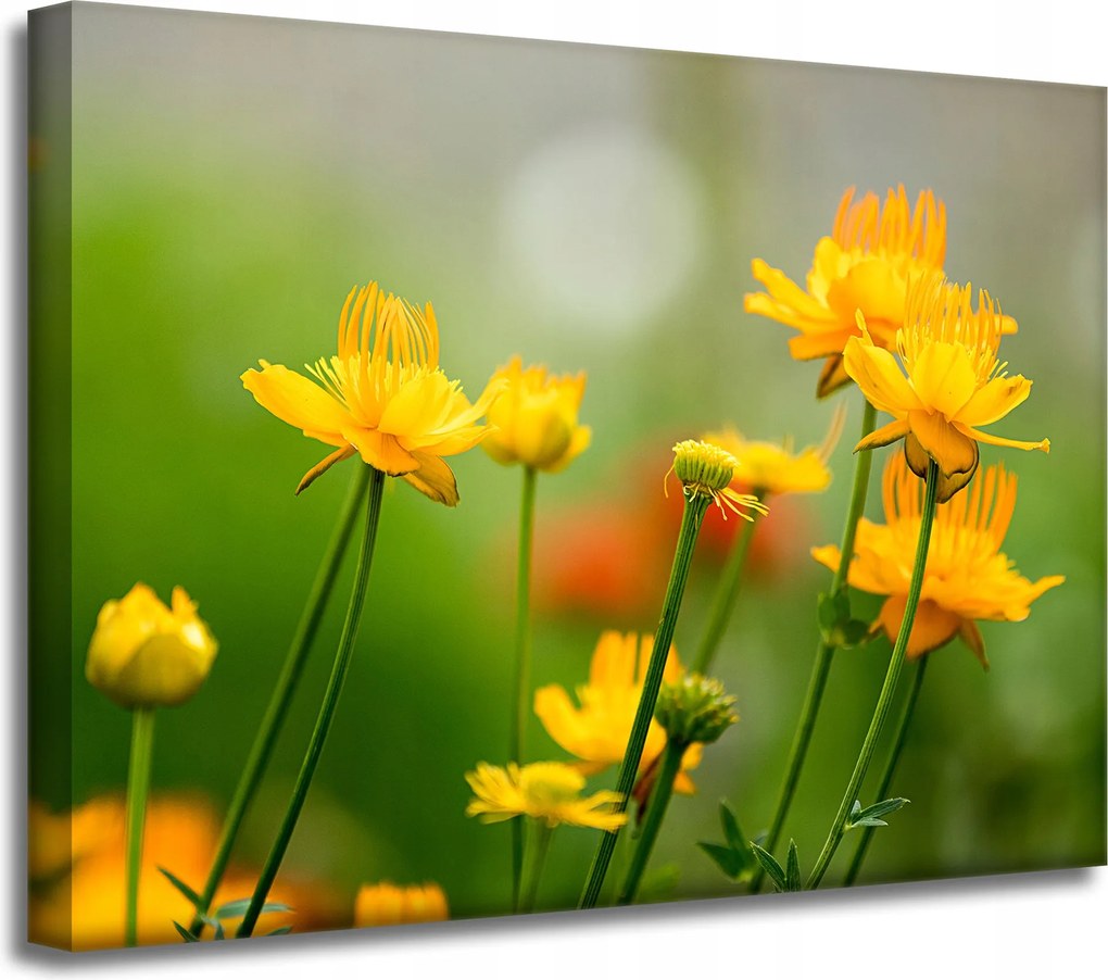 Botanika Sárga virágok vászonkép 40x30 cm