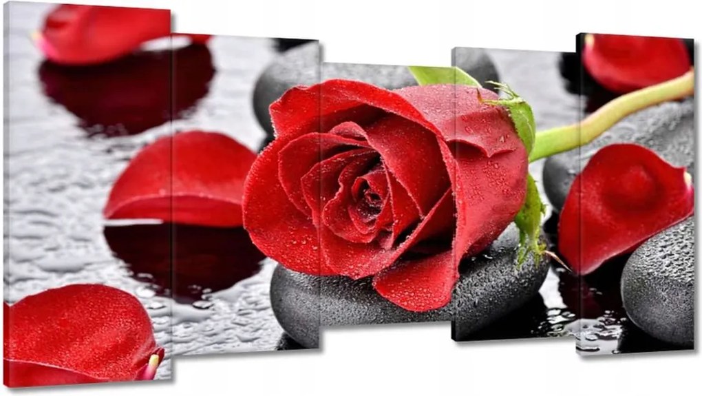 Vászonkép 150x80 Vörös rózsák Kövek