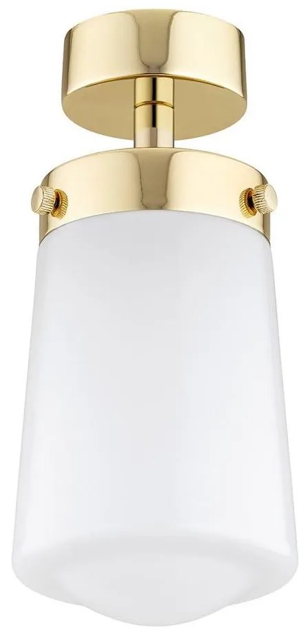 Argon 8005 - Felületre szerelhető csillár PASADENA 1xE27/15W/230V arany/fehér