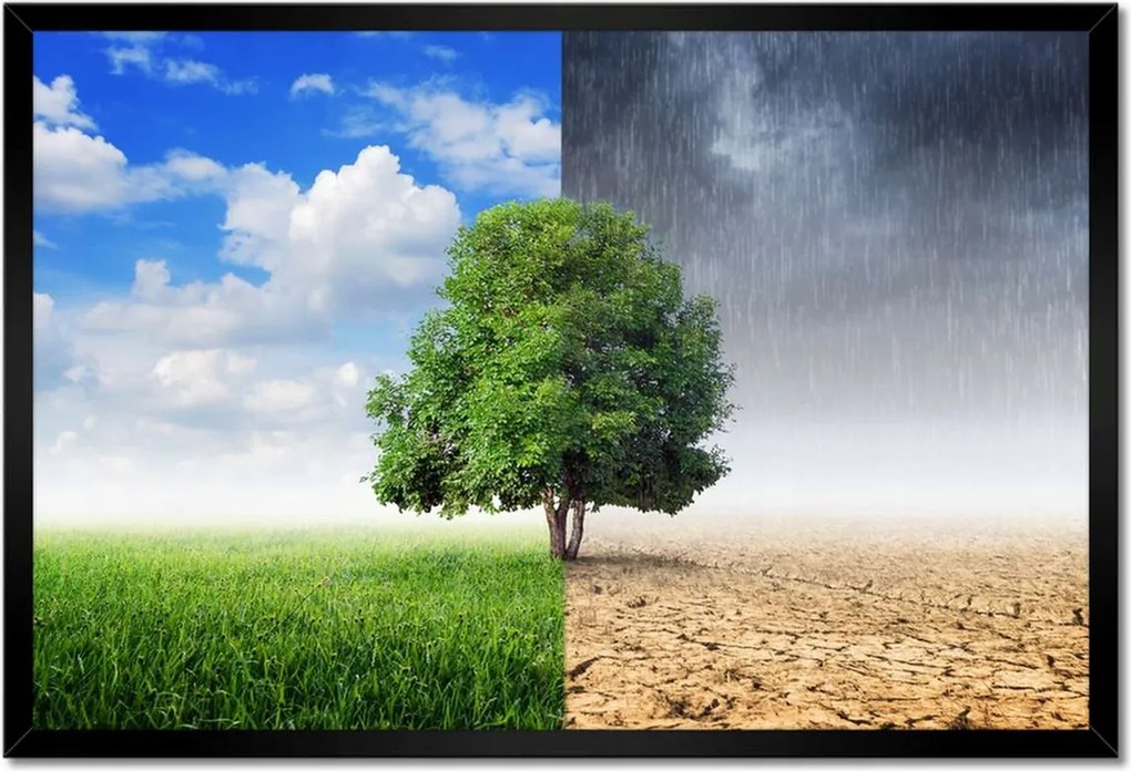 Poszterek keretben 60x40 Esős évszak