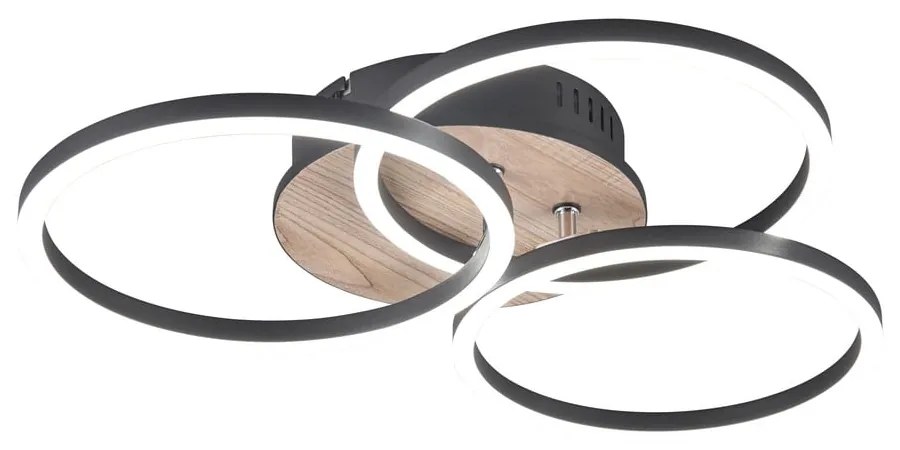 Fekete-barna LED mennyezeti lámpa 43x43 cm Circle – Trio