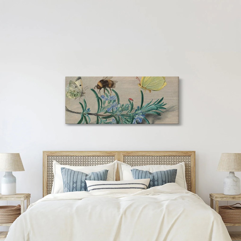 Kép - Jan van Kessel the Elder, Insects and a Sprig of Rosemary, reprodukciók (120x50 cm)