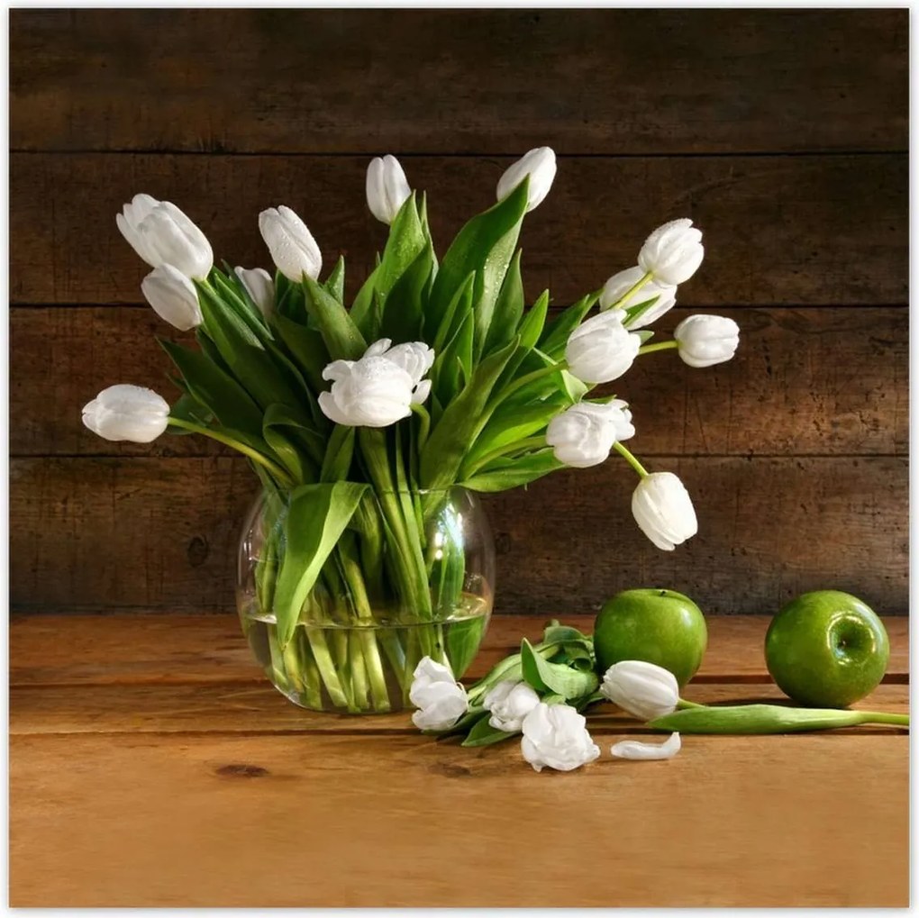 Poszterek 30x30 Fehér tulipánok