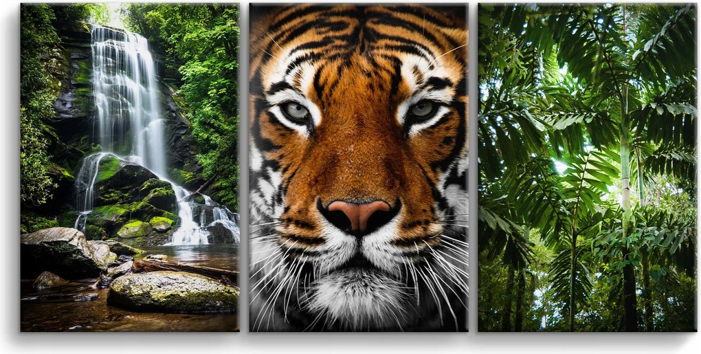 Képek a nappaliba Vízesés Tigris Dzsungel Hálószoba képek 90x180