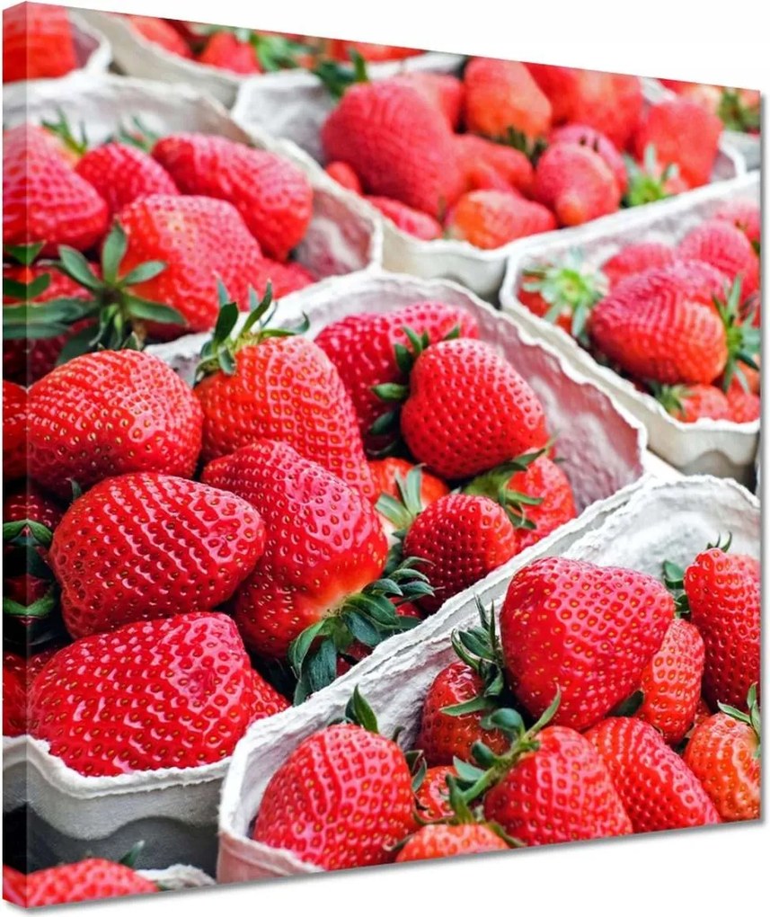 Festmények 30x30 Konyhai képek Forradalmak