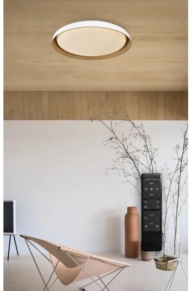 Top Light-LED Dimmelhető mennyezeti lámpa SATELLITE LED/36W/230V 3000-6500K fehér + távirányító