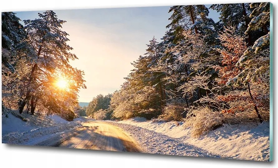 Fotó üvegkép Út az erdőben télen 100x50