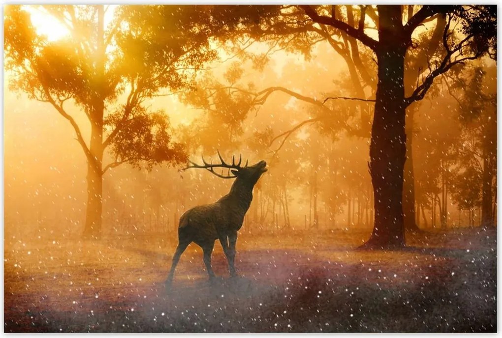 Poszterek 120x80 Szarvas az erdőben