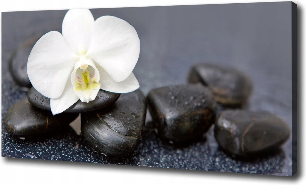 Canvas falikép Orchidea 120x60 cm