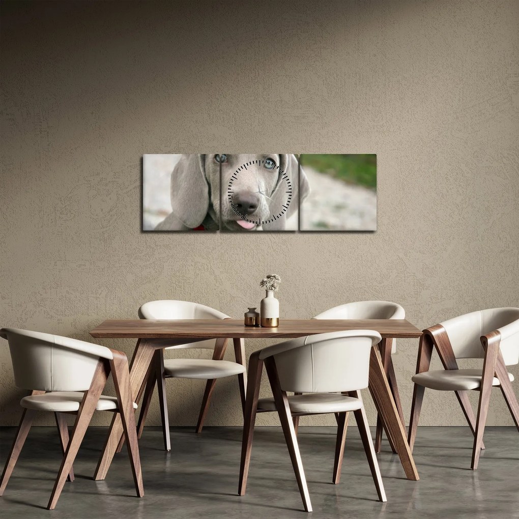 Kép - weimaraner kölyökkutya (órával) (90x30 cm)