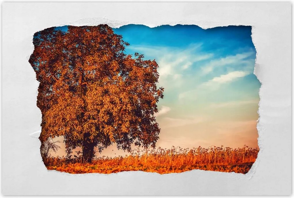 Poszterek 60x40 Őszi színek Tájkép