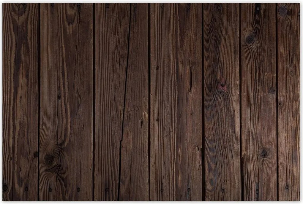 Poszterek 120x80 Fa világ Fa