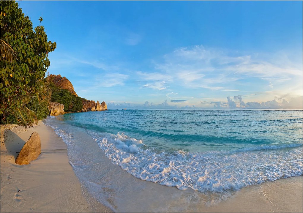 Flizelin fotótapéta Tengerpart Óceán pálmafák és kövek relaxáció 460x300 +ragasztó