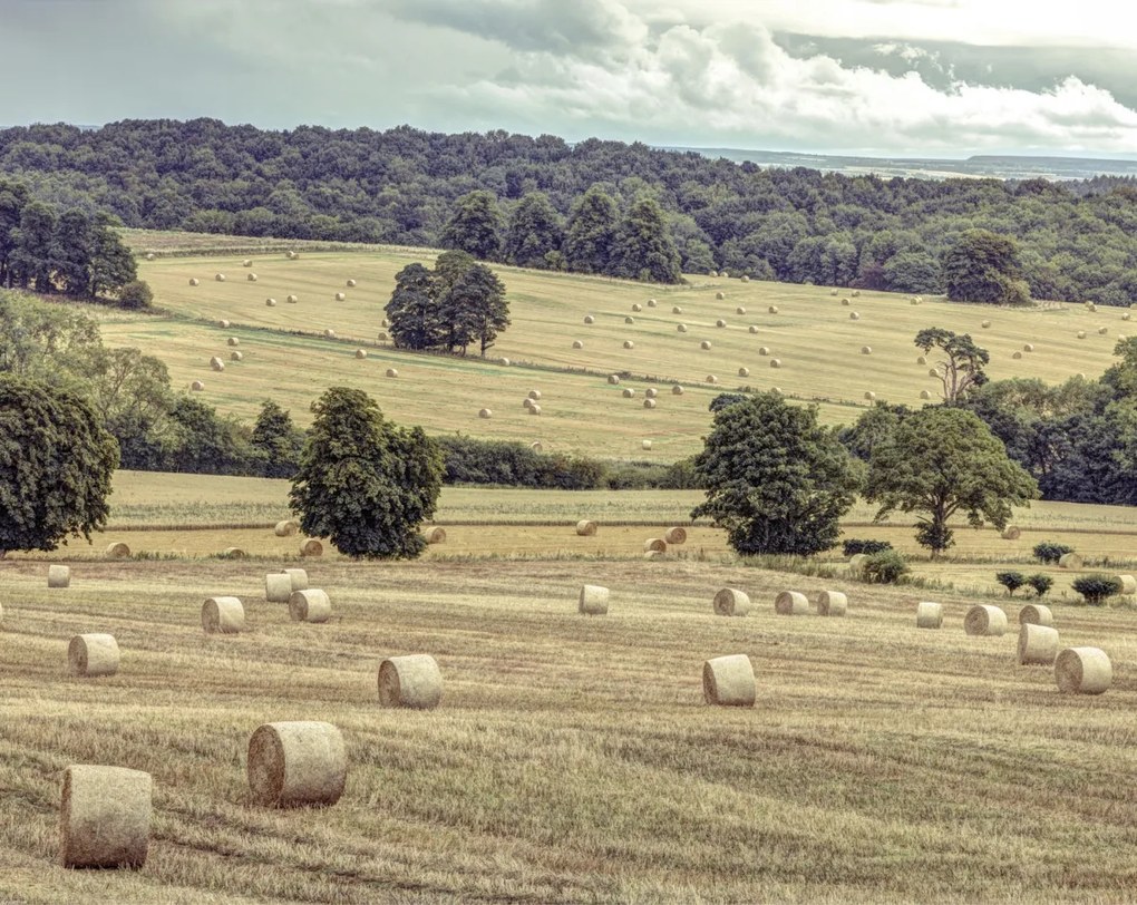 Poszter 76x60,5cm Szénakazalok a mezőkön 2, Assaf Frank