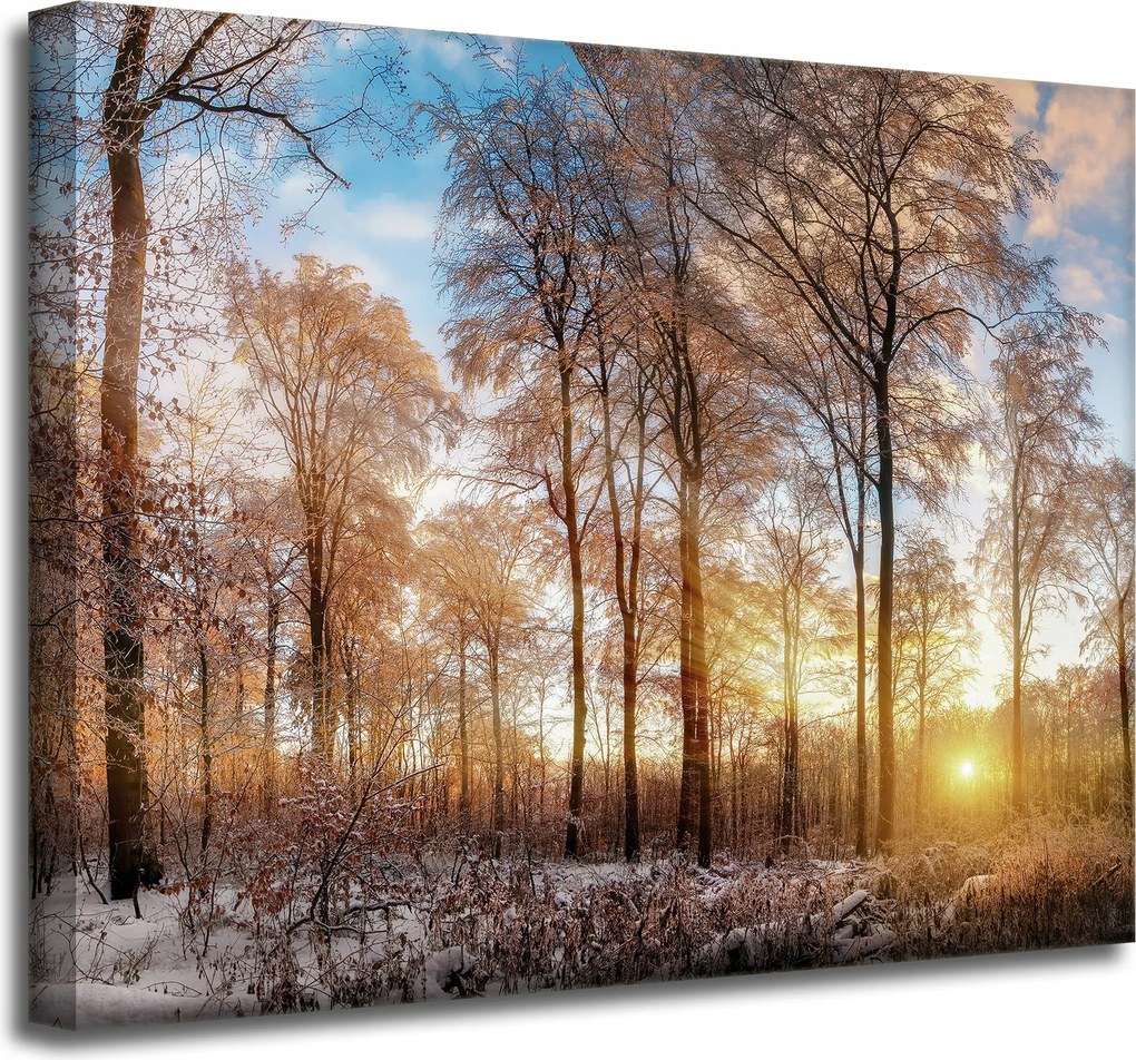Vászonkép Fák Tél Felkelő Nap 50x40 cm Ideális ajándék