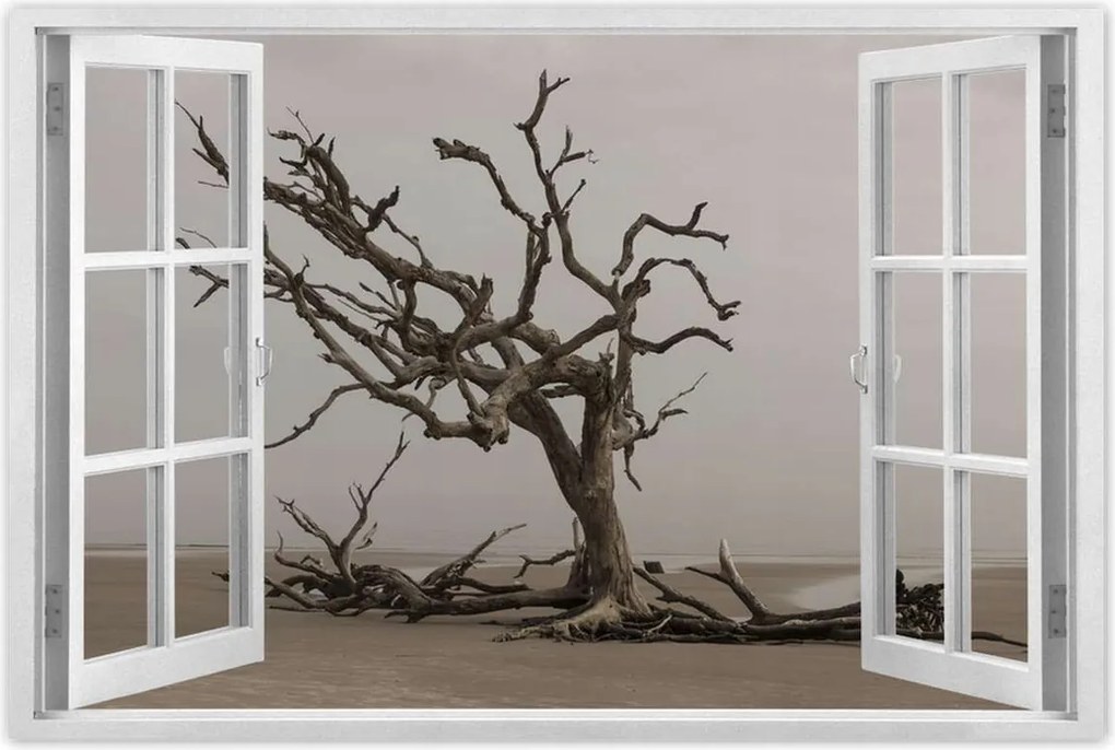 Poszterek 60x40 Fa Fák Kilátás