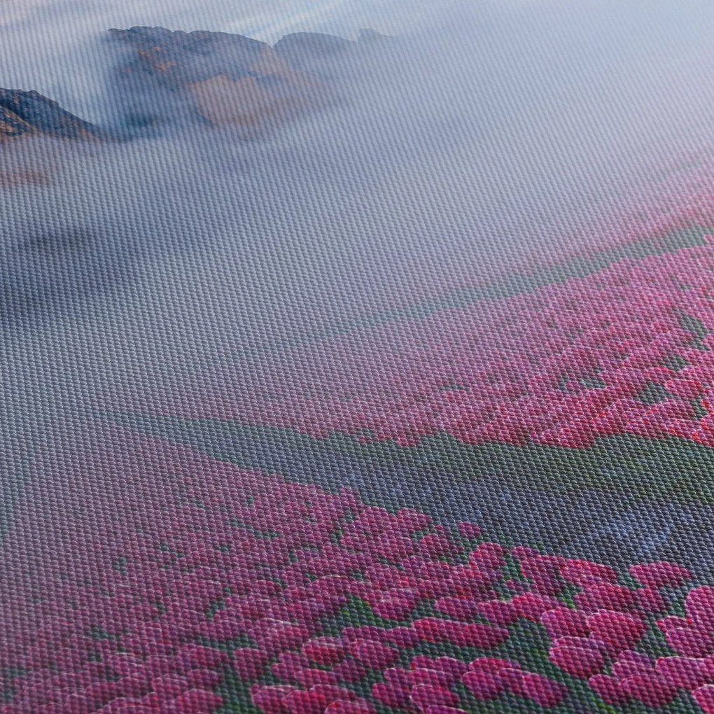 Kép - Tájkép tulipánmezőkkel (120x50 cm)