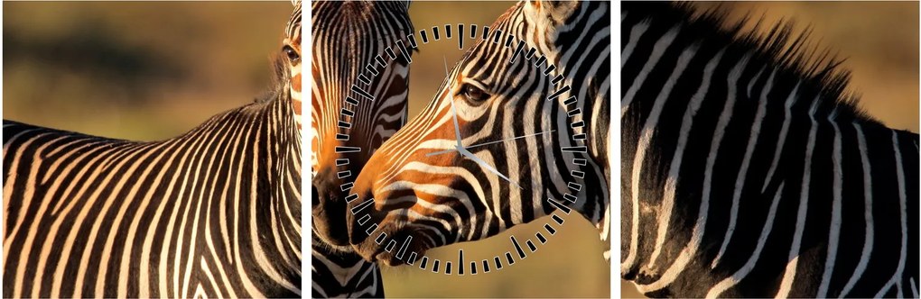 Kép - Két zebra (órával) (90x30 cm)