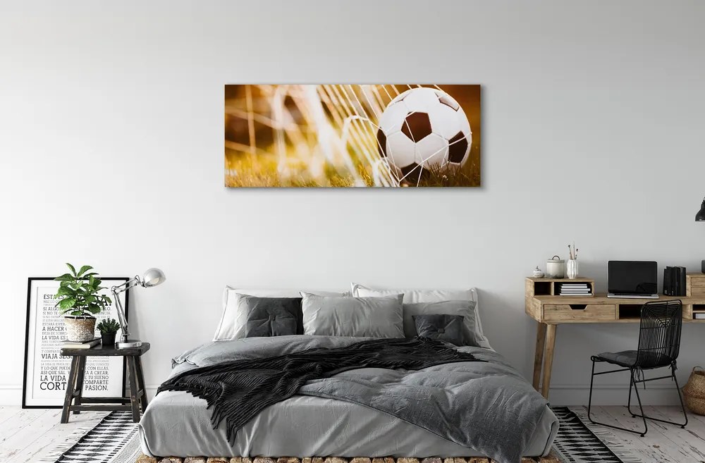 Canvas képek A labda sárga fű háttér 125x50 cm