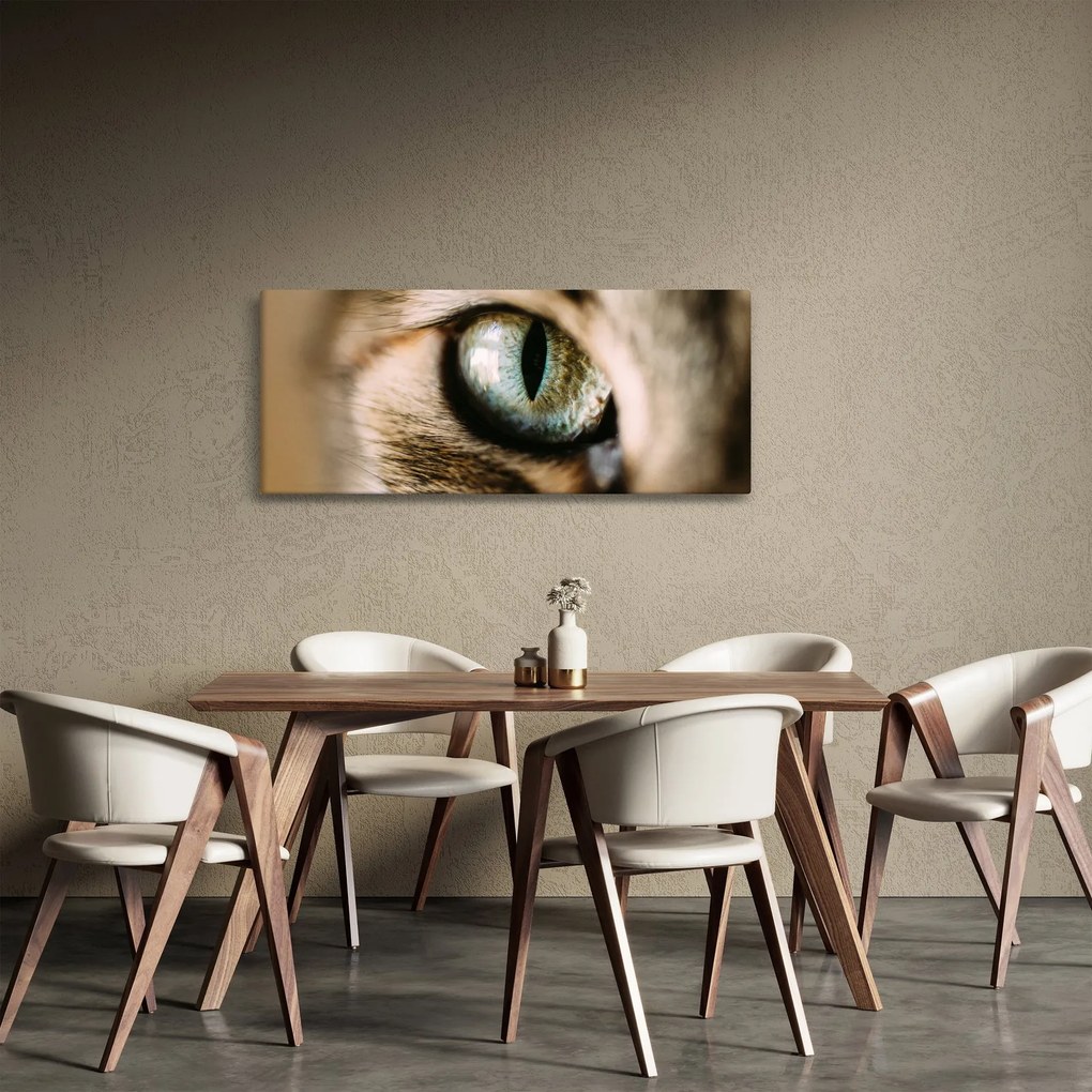 Kép - Macskaszem (120x50 cm)