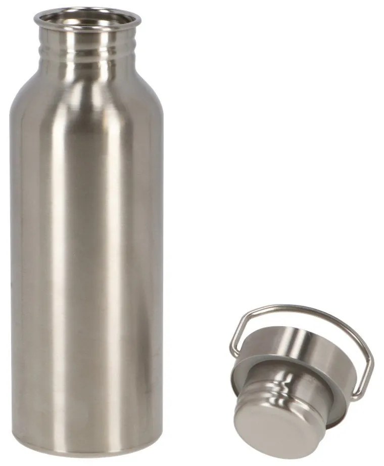 Ezüstszínű rozsdamentes acél ivópalack 650 ml – Esschert Design