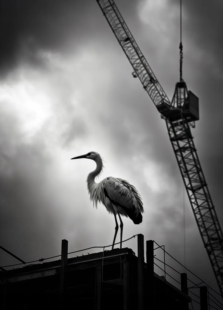 Poszter 39,5x55cm Magasan a horizont felett