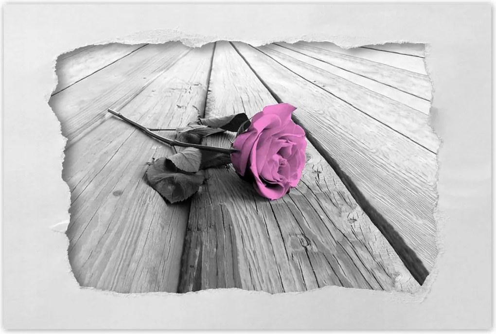 Plakátok 120x80 Régi rózsaszín Rose a táblákon