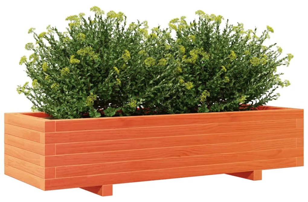 viaszbarna tömör fenyőfa kerti virágláda 110x40x26,5 cm