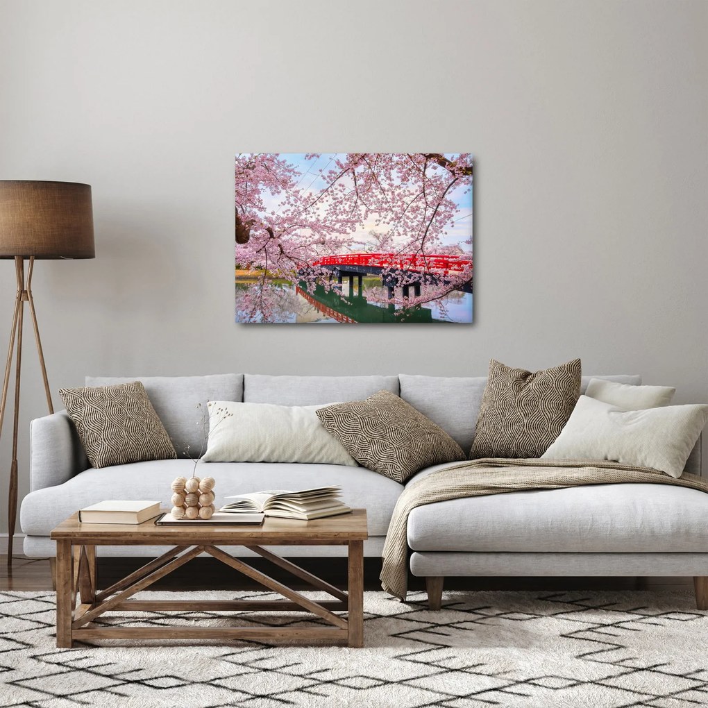 Kép - Hirosaki, Japán (70x50 cm)