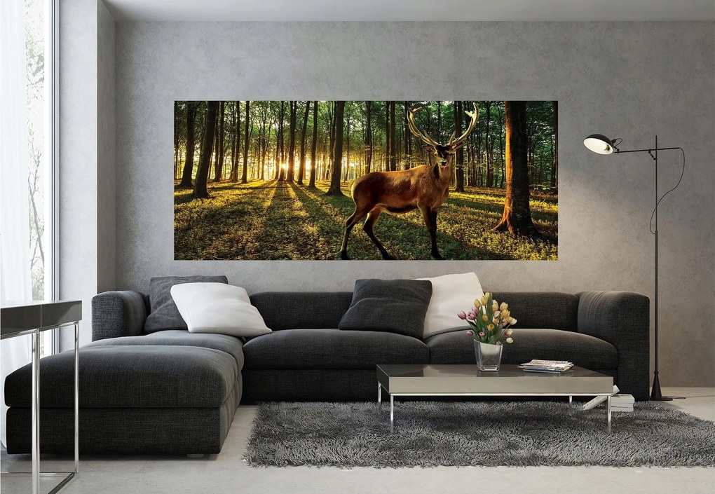 Fotótapéta Reggel az erdőben Szarvas a nap sugaraiban 250x104 +ragasztó